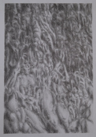 "Lineage"