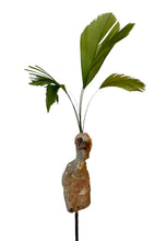 Load image into Gallery viewer, "Nambia 27"
