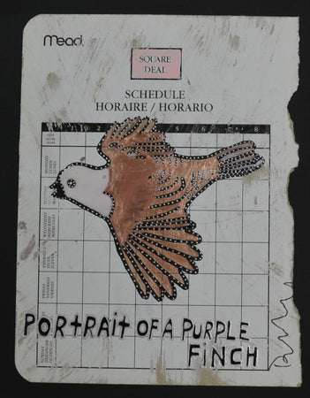 "Portrait of a purple finch"